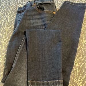 L.L. Bean Classic Blue Denim Jeans